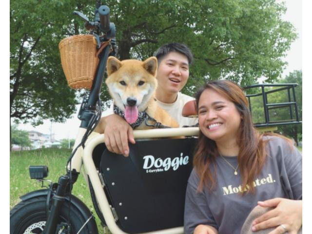 ドギー E－CarryBike Doggie ドギー ペットバイク