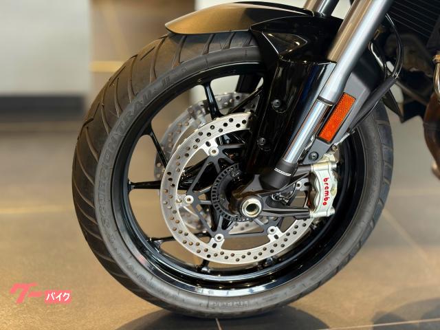 DUCATI V4S 2025 — миниатюра 4