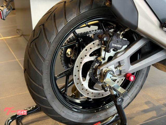 DUCATI V4S 2025 — миниатюра 5
