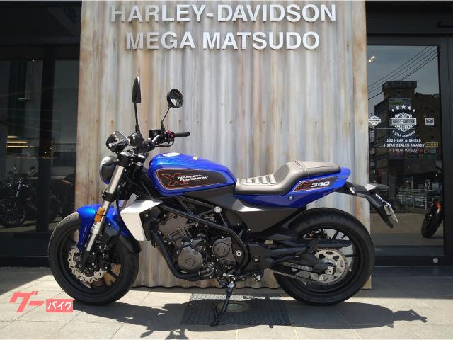 専用　美斑入り株　レガシー HARLEY－DAVIDSON X350 LWZX350