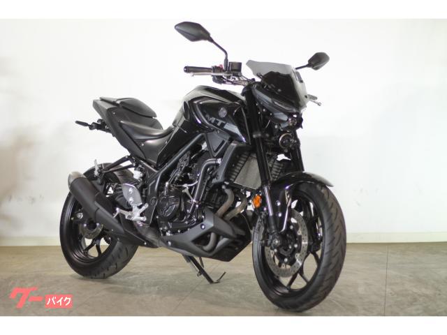 ＭＴ−０３（３２０ｃｃ）　ワイズギア製スクリーン　フェンダーレスカスタム
