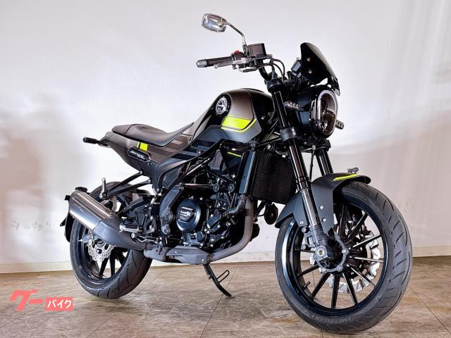 レオンチーノ２５０