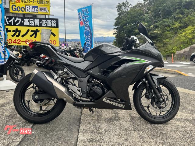 Ｎｉｎｊａ　２５０　ＵＳＢ電源　ＮＯ２５０５１