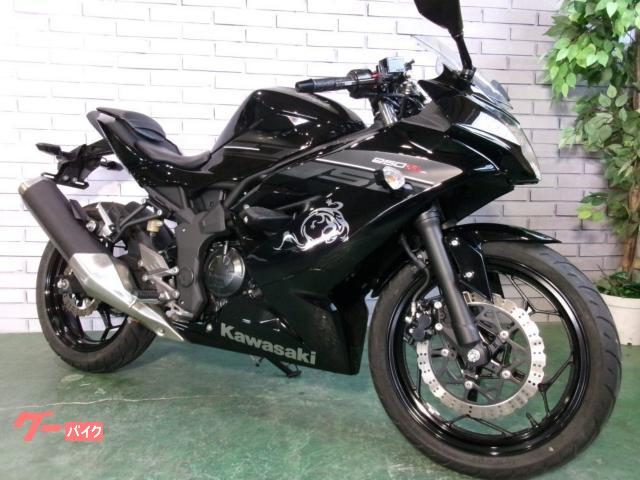Ｎｉｎｊａ　２５０ＳＬ