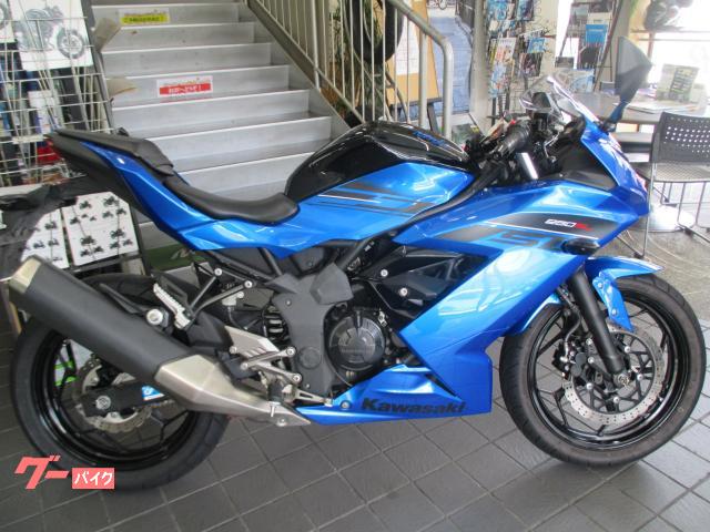 Ｎｉｎｊａ　２５０ＳＬ　ワンオーナー　ガード　ドラレコ