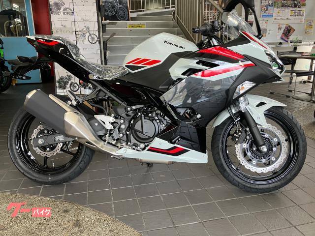 Ｎｉｎｊａ　２５０