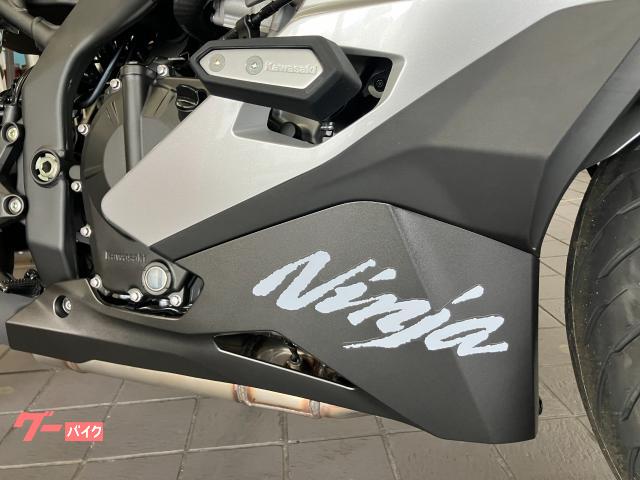 カワサキ Ninja ZX－4R SE 2027年モデル・ギャラクシー