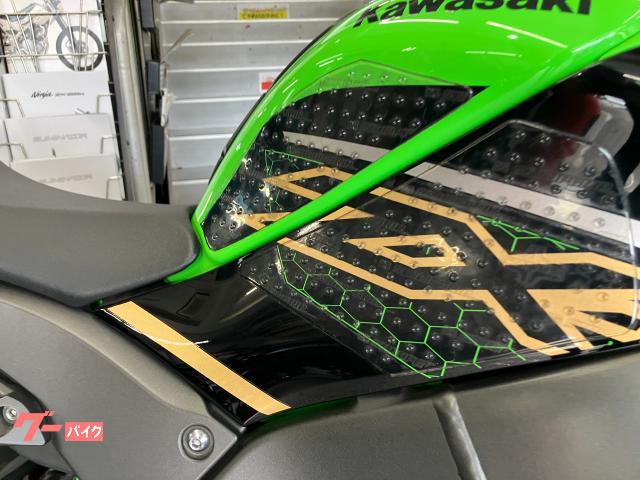 カワサキ Ninja ZX－10R ETC フェンダーレス、バック