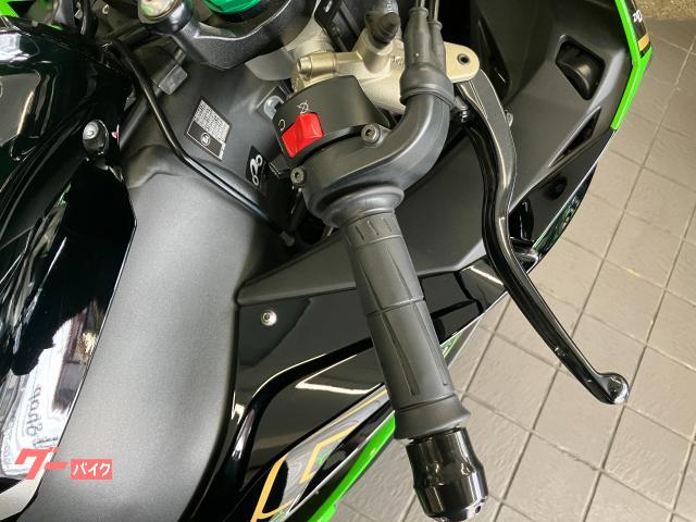 カワサキ Ninja ZX－10R ETC フェンダーレス、バック
