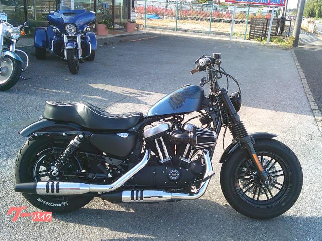 ＸＬ１２００Ｘ　フォーティエイト　２０１８Ｙ　１１５周年モデル　フォークカバー　メーターコイル移設　サイドナンバー　ハンドル他