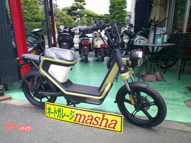 ＰＥＶ６００　２０２５年最新モデル