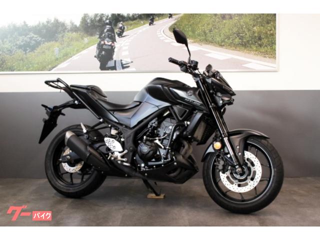 ＭＴ−２５　リアキャリア　ハンドルブレース　ヘルメットロック　ブレーキ＆クラッチレバー