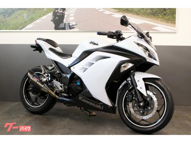 Ｎｉｎｊａ　２５０　ＥＴＣ　ヨシムラＳ／Ｏマフラー　カーボンリアフェンダー　フェンダーレスキット他多数装備