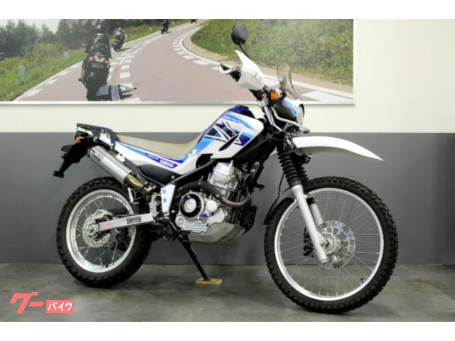 セロー２５０　ＥＴＣ　グリップヒーター　デルタサイレンサー　ナックルガード　フォグランプ他カスタム