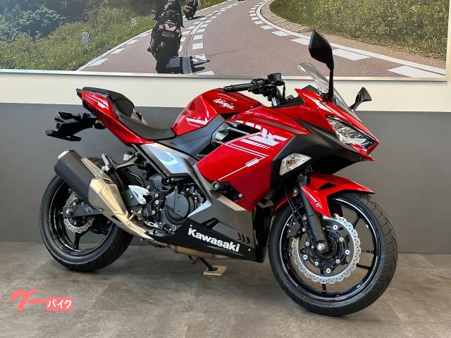 Ｎｉｎｊａ　２５０　マルチバー　フレームスライダー　ラジエターコアガード