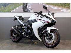 ヤマハ　ＹＺＦ−Ｒ２５　バーハンドル　グリップヒーター　ブレーキ＆クラッチレバー　ヘルメットロック　フェンダーレス