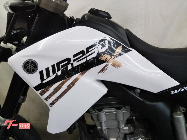 ヤマハ WR250X SP忠男パワーボックス BEETマフラー