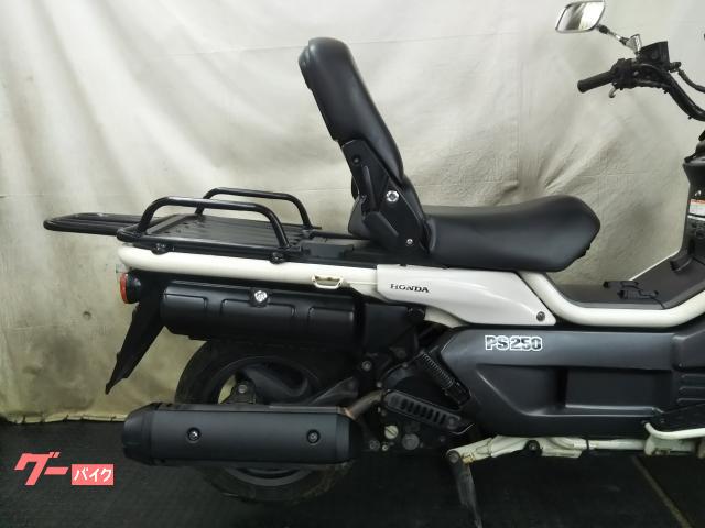 PS250 レッグシールド