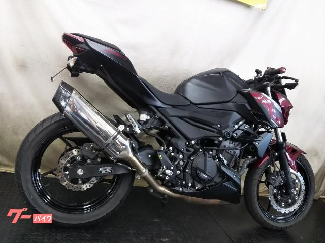カワサキ Z250 2BK－EX250P トリックスター