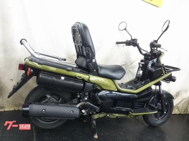ホンダ PS250 カモフラージュグリーン＆ブラック 2004年式 角