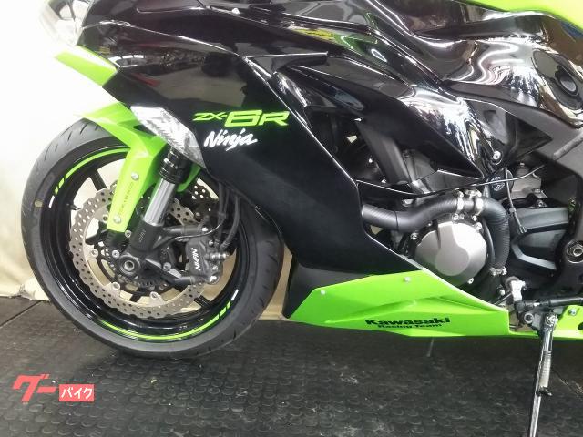 ロップイヤー　スクイーズ　緑系 8501037B3026042600312.jpg
