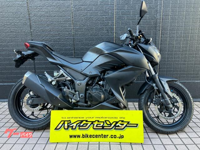 Ｚ２５０　２０１３モデル　フラットエボニー