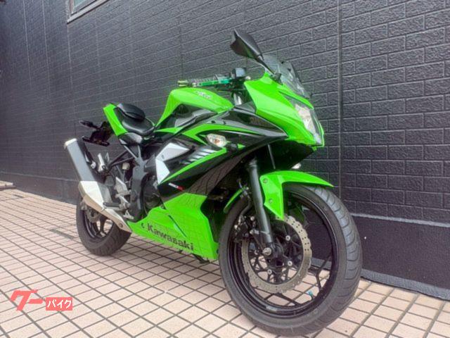 カワサキ Ninja 250SL 2015年モデル ライムグリーン 6 