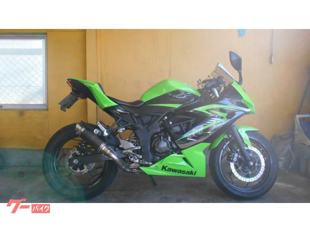 Ｎｉｎｊａ　２５０ＳＬステンカーボンスリップオン付