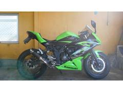 カワサキ　Ｎｉｎｊａ　２５０ＳＬステンカーボンスリップオン付