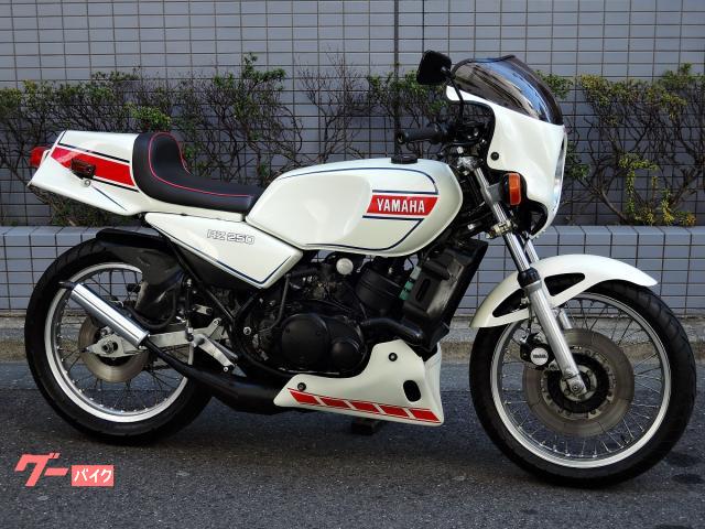 得価超激安RZ250R　シングルシート 社外品