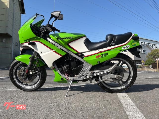 カワサキ ＫＲ２５０ １９８４年モデル ノーマル ２スト｜有限会社 馬似駆屋 前橋店｜新車・中古バイクなら【グーバイク】