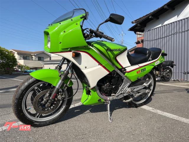 カワサキ KR250 希少低走行！ 社外チャンバー！ - オートバイ車体