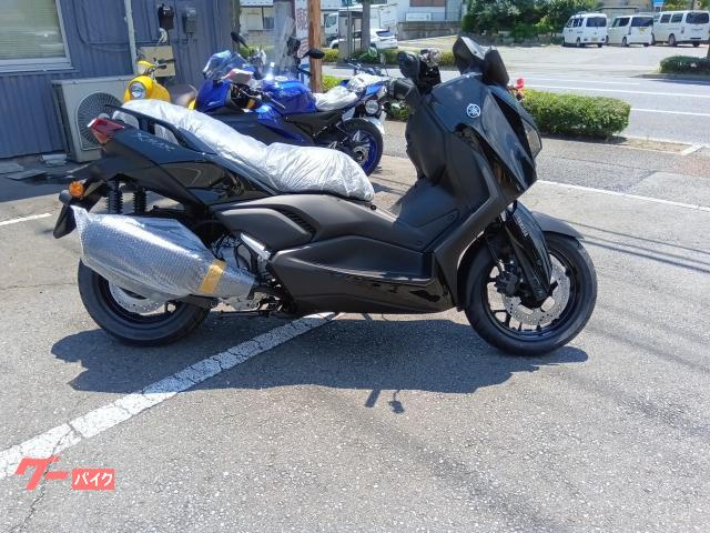 Ｘ−ＭＡＸ２５０