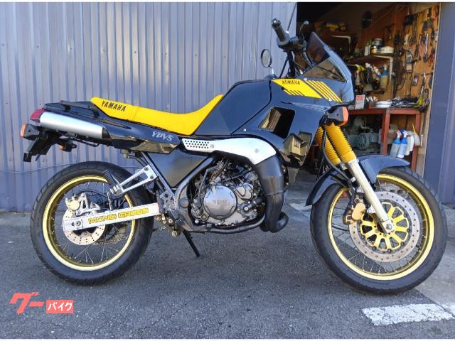 ＴＤＲ２５０　１９９８年モデル　２ストロークエンジン