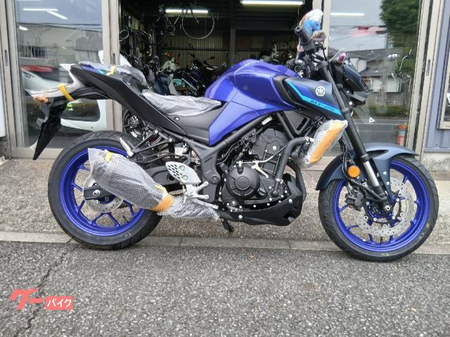 ＭＴ−２５