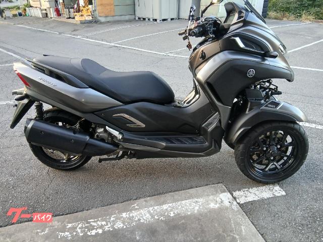 トリシティ３００