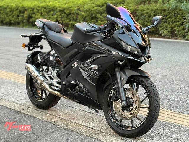 ＹＺＦ−Ｒ１５ＡＢＳ　マフラー　スクリーン　マスク　自賠責付