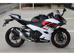 カワサキ　Ｎｉｎｊａ　２５０　２０２０モデル　ＥＸ２５０Ｐ