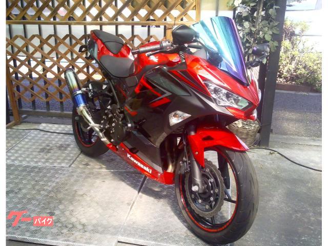 Ｎｉｎｊａ　４００　ＷＲ’Ｓマフラー　スライダー　フェンダーレス
