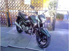 スズキ　ＧＳＲ２５０　ＥＴＣ　ＵＳＢ　エンジンガード　リアキャリア