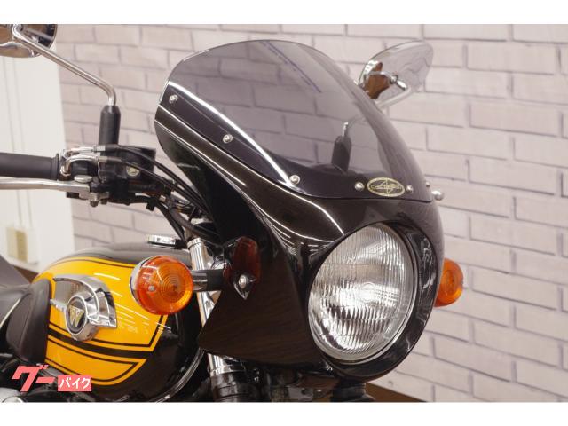 カワサキ W800 前期ファイナルエディション ビキニカウル バッグ