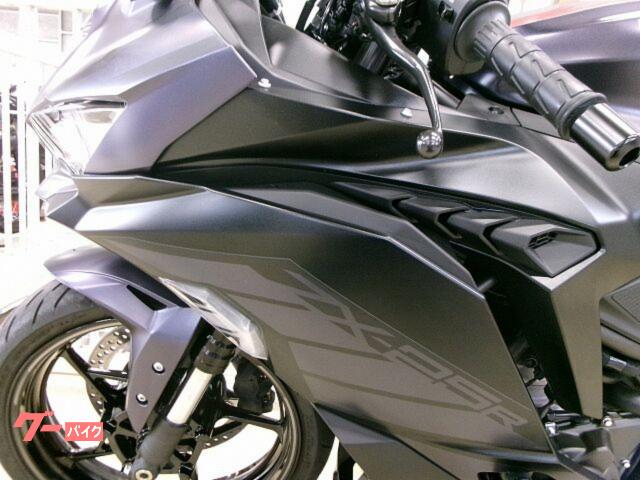新品タグ付き⭐︎レースブルゾン カワサキ Ninja 1000 SX ZXT02K カワサキ純正