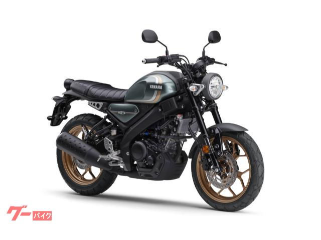 ＸＳＲ１５５　ＡＢＳ　グリーニッシュグレーメタリック