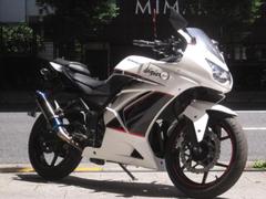 カワサキ　Ｎｉｎｊａ　２５０Ｒ　社外マフラー　ＥＴＣ付き