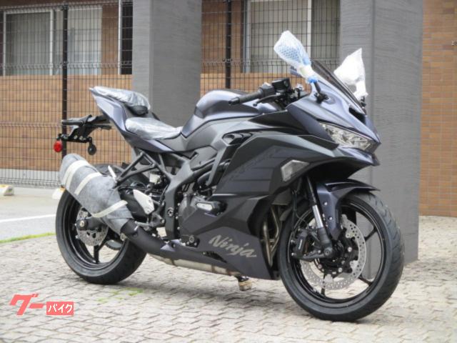 Ｎｉｎｊａ　ＺＸ−２５Ｒ　ＳＥ　２０２５年モデル