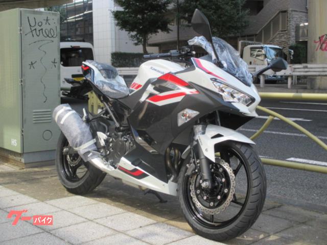 Ｎｉｎｊａ２５０　　２０２７年国内正規モデル