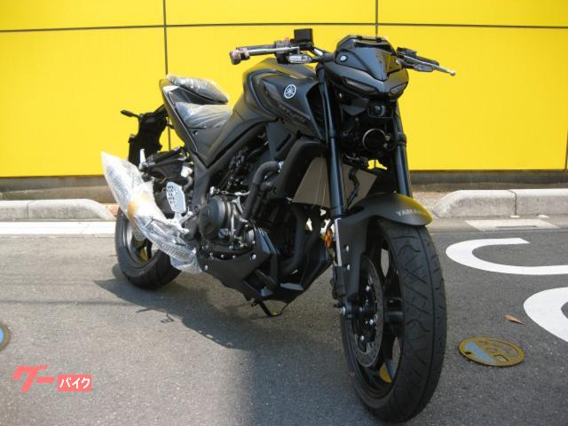 ヤマハ ＭＴ－２５ ２０２２モデル 新車 国内正規車輛 ＥＴＣキャンペーン 在庫１台限り(埼玉県 バイクプラザガイア)の中古バイク・新車バイク |  goo - バイク情報