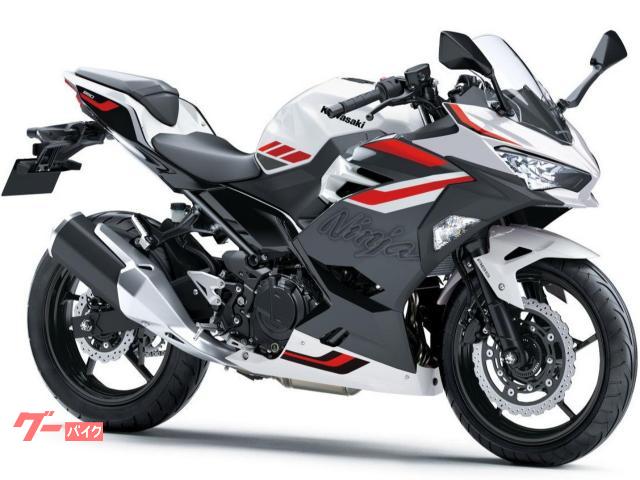 Ｎｉｎｊａ　２５０　２０２７モデル　新車　国内正規車輛
