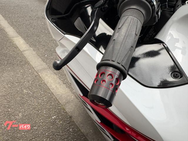 カワサキ Ninja ZX－14R ハイグレード ファイナル