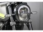 ＢＥＮＥＬＬＩ レオンチーノ２５０　２０２２モデルの画像（神奈川県